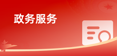 政务服务